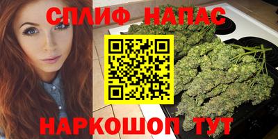a pvp Будённовск